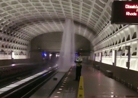 白宮都漏水了，你還能不重視防水！